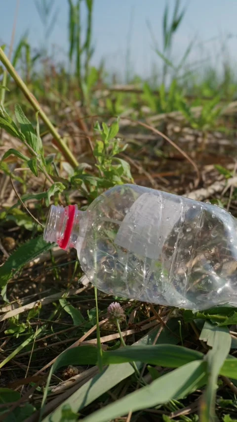 Discarded Plastic Water Bottle Polluting Natural Meadow Grassland 動画素材 343574359
