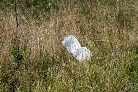 Discarded Polystyrene Container in Long Grass Stock Photos