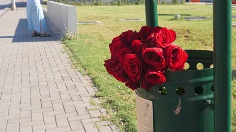 Discarded Roses in a Trash Bin, Breakup, Failed Date or Unrequited Love Scene Stock Footage 229947571
