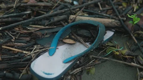 Discarded sandal on a bed of sticks and litter, highlighting pollution and Stock Footage 290289995