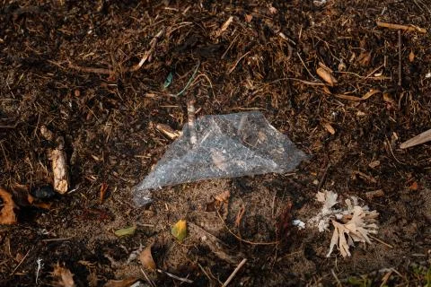 Discarded trash Stock Photos