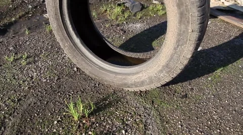 Discarded Tyre Stock Footage 50244620