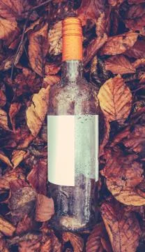 Discarded Wine Bottle Stock Photos