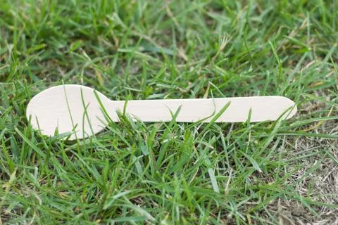 Discarded wooden teaspoon lying on patch of grass making a mess Stock Photos