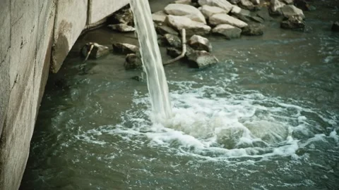 Discharge of dirty water from a drain into a small river or pond Stock video. Stockbeeldmateriaal 164408442