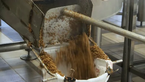 Discharge of processed malt during the brewing process Stock Footage 149664005