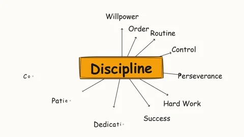 Discipline Concept Mind Map with Related Terms and Ideas. Stock Footage 336620081