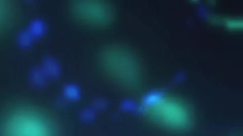 Disco Bokeh Animated Lights Overlay Video Effect 4k Black Screen Stock Footage 289912567