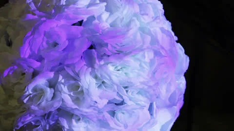 Disco light Stock-Footage 24228174