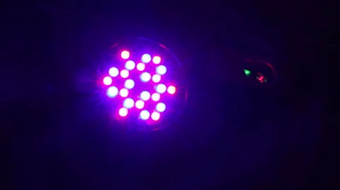 Disco lights and show. Stock Footage 63570106