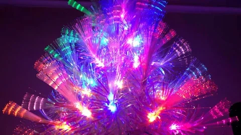 Disco Lights Tree Vídeos de archivo 100698504