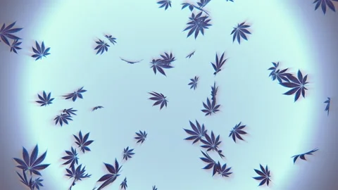 Disco of Marijuana Burst Stock Footage 234277427