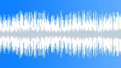 Disco WaveStock Music