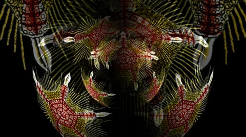 Discoidea Sphere Stock Footage 27550413