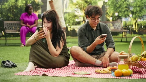 Disconnected couple scrolling through social media during picnic date Stock Footage 341411193