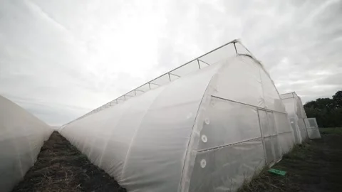 Discover the beauty of slow motion capturing a greenhouse revealing nature's Video stock 296799669