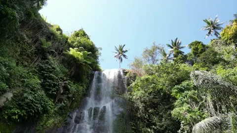 Discover the breathtaking beauty of Gitgit Waterfall in Buleleng. 스톡 동영상 310370840