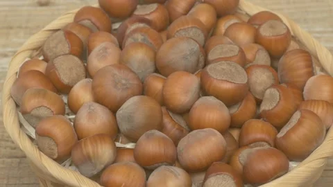 Discover Fresh Hazelnuts Collected in a Basket, Ideal for Various Culinary Uses 스톡 동영상 286208802