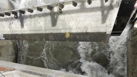 Discover the Hidden Treasure in the Flowing River - A Unique Perspective on Stock Footage 324064013