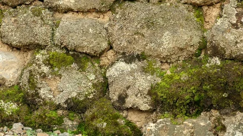 Discover the intricate construction details of Ingapirca ruins,a remarkable Video stock 128451953