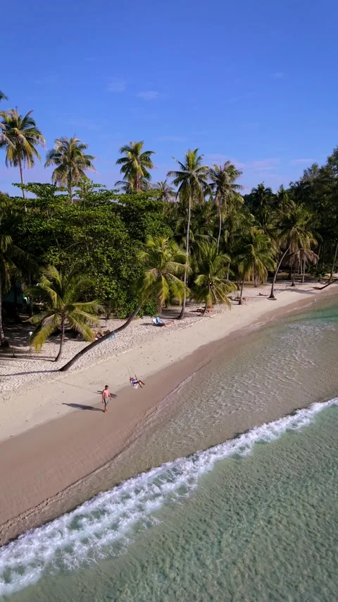 Discover paradise on Koh Koods pristine beach with palm trees and serene waters Video stock 337376009