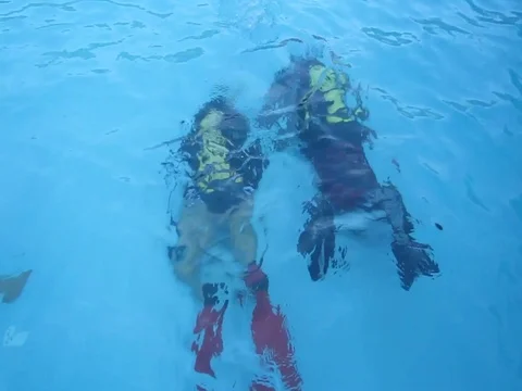 Discover Scuba Diving Vidéo 76881497