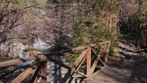 Discover a Serene Pathway That Winds Gracefully Along a Tranquil Stream in Stock Footage 303705041