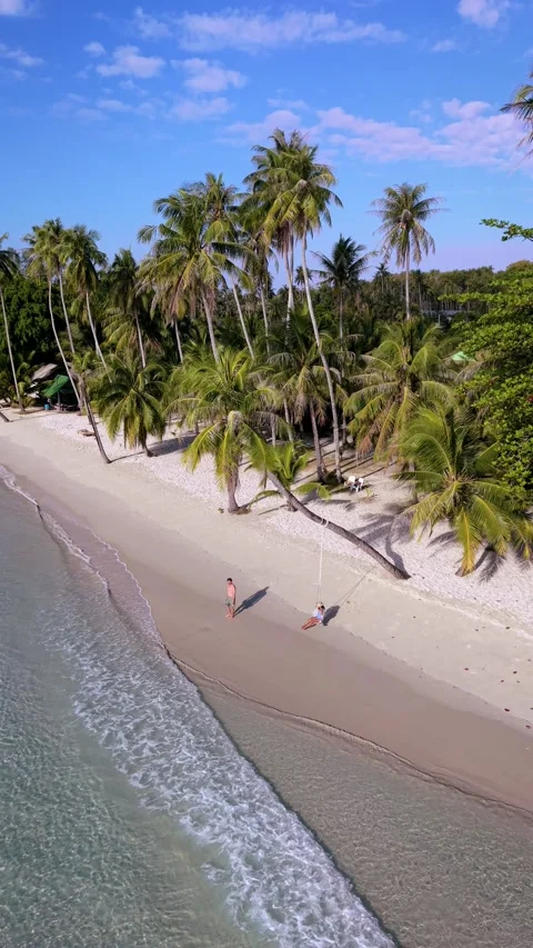 Discover stunning beaches and lush palm trees in Koh Kood Thailand for a perfect Vídeos de archivo 337376397