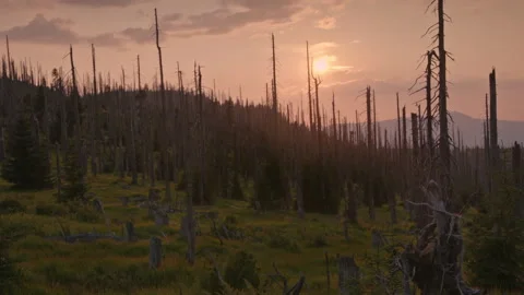 Discover the sunset over Bavarian Forest National Park in Germany Stock Footage 325635573