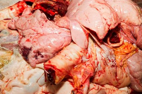 Discover a wide range of delectable meat specialties sourced directly from the Stock Photos