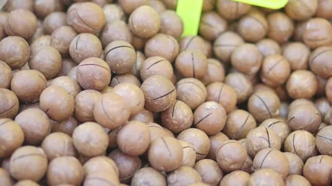 Discovering the beauty of raw macadamia nuts at the market Stock Footage 339049213