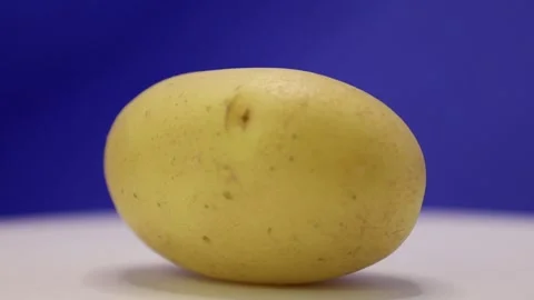 Discovering the beauty of a simple potato in creative artistic display Stock Footage 328635285