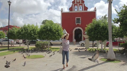 Discovering Campeche08 Stock Footage 159756860