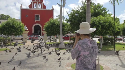 Discovering Campeche09 Stock Footage 159757155