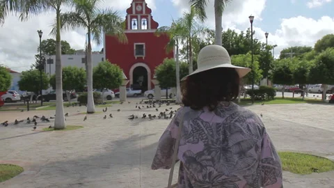 Discovering Campeche11 Stock Footage 159758188
