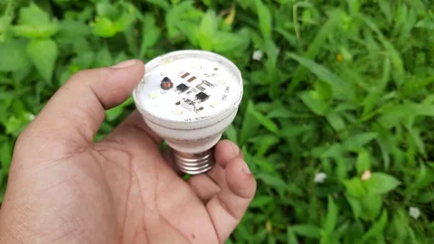 Discovering a damaged light bulb while exploring a lush green area in nature Stock Footage 296418454