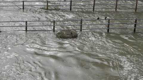 Discovering the Hidden Treasure in the Raging Waves - A Journey into the Heart Stock Footage 324049341