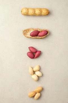 Discovering the journey of peanut from shell to snack in simple layers 스톡 사진