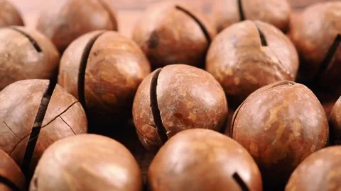 Discovering macadamia nuts and their uses in cooking Stock Footage 338041891