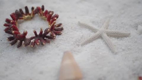 Discovering marine treasures on sandy beach shore Stock Footage 322084055