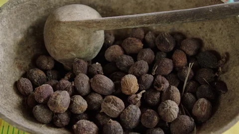 Discovering the process inside a container plant coffee bean bowl Stock Footage 321392786