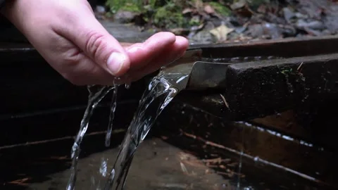 Discovering pure water flowing from a rustic spring in the forest 스톡 동영상 295331652