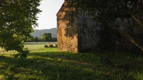 Discovering the serenity of Chapel Old Wall Grass in golden light Vidéo 321494678