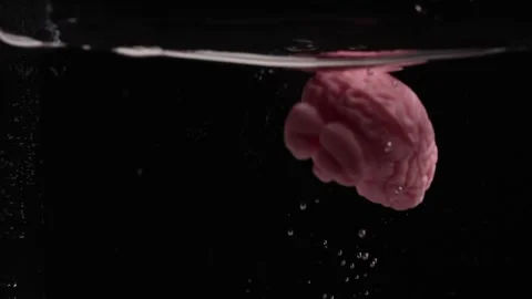 Discovering the Shock of a Cooling Brain Idea With Surprising Clarity Stock Footage 313331940