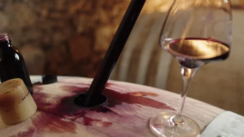 Discovering the wine tasting process for creating rich red wine Stock Footage 321359231