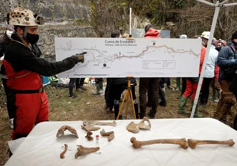 Discovery of prehistoric skeleton dated back 11,700 years, Loizu, Spain - 12 Mar Foto stock