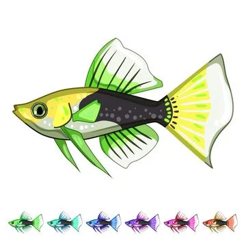 Discus decorative fish cartoon vector graphic Stock Illustration