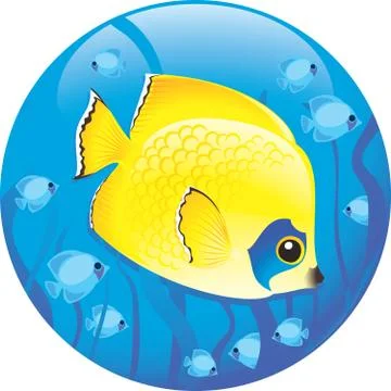 Discus fish on a blue background Illustrazione stock