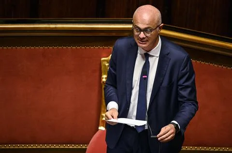Discussion at the Senate on digital simplification and innovation decree, Rome,  Stock Photos