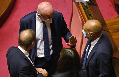 Discussion at the Senate on digital simplification and innovation decree, Rome,  Stock Photos